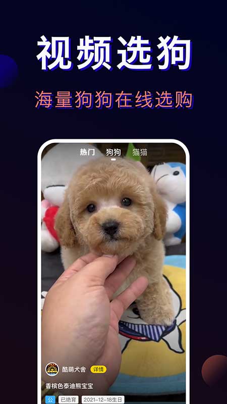 宠物宝app