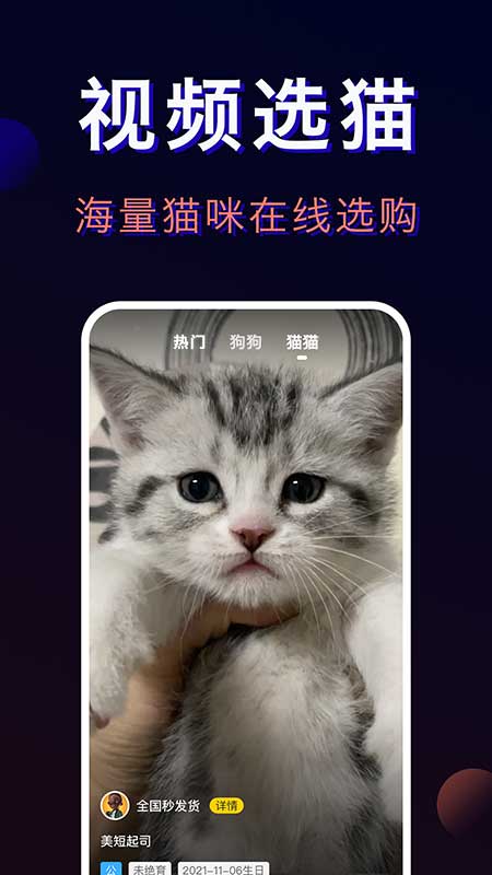 宠物宝app
