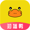 知播鸭