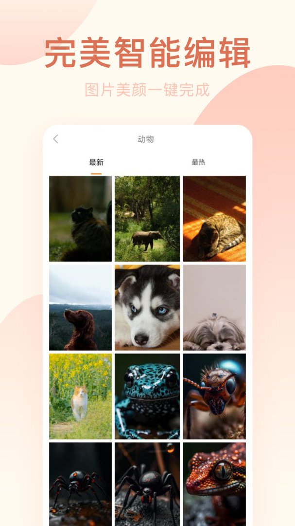 趣相机app